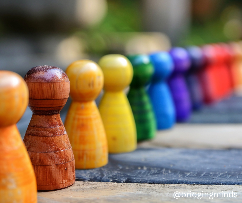 Launching the Bridging Minds Project